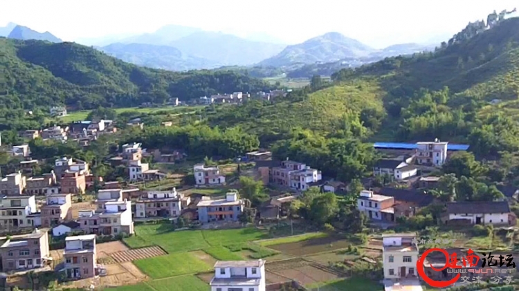 寨岗航拍