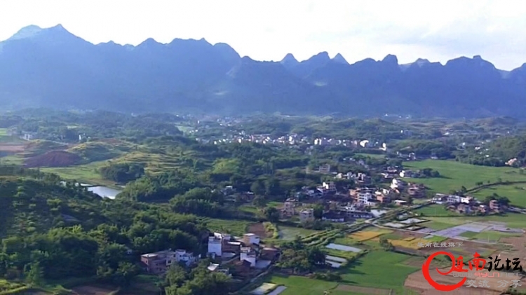 寨岗航拍