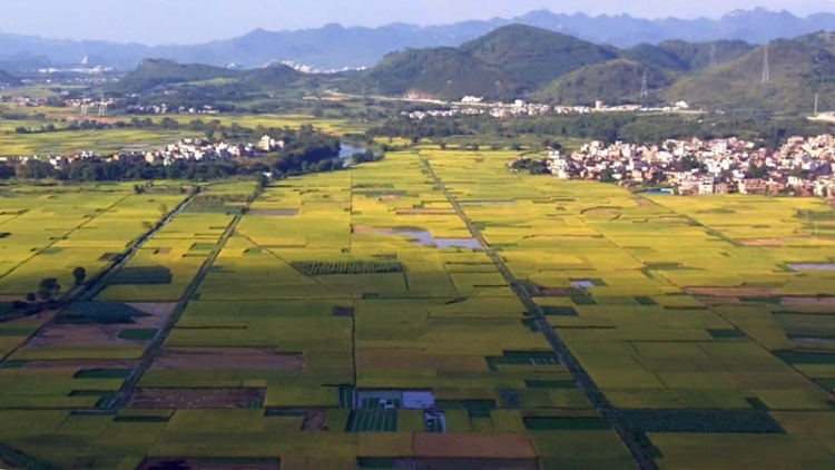 暴风截屏20110723184657_副本_副本.jpg