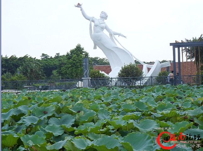 传说中的仙子