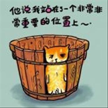 01.jpg