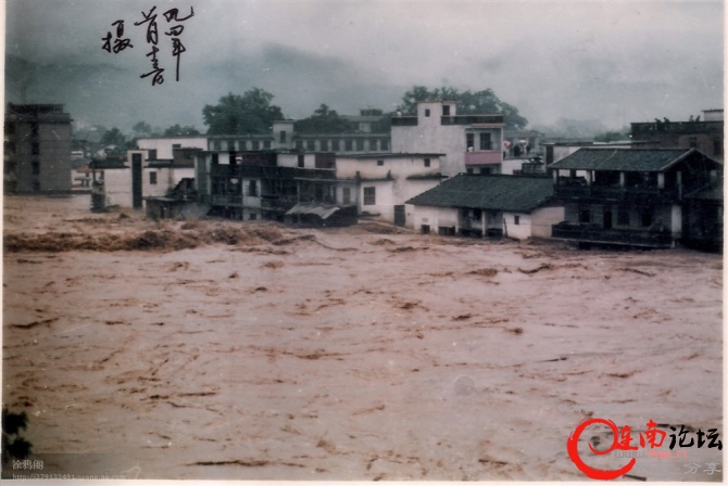 寨岗94年的特大洪灾