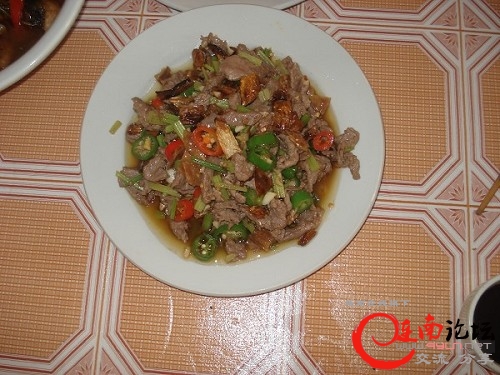 DSC06783缩图缩图.JPG