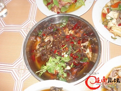 DSC06786缩图缩图.JPG