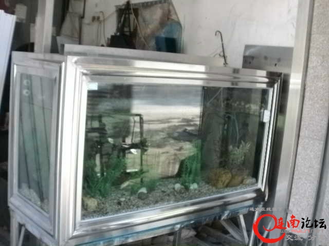 鱼缸10.jpg