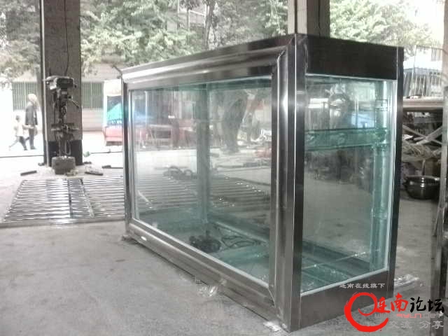 鱼缸4.jpg