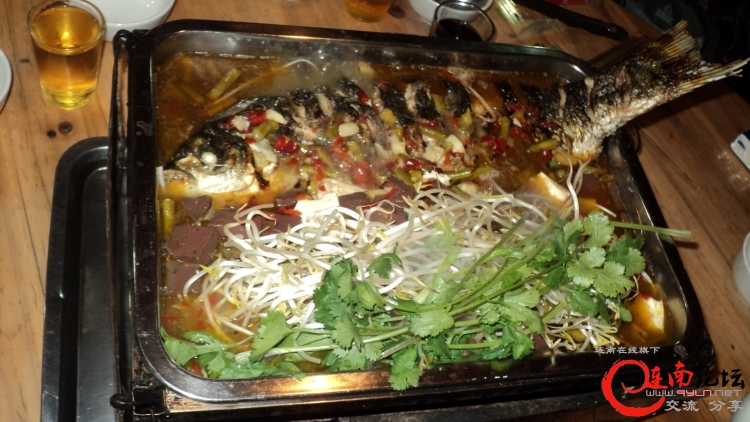 DSC00637.JPG
