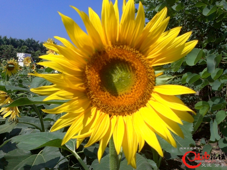 20111112474.jpg