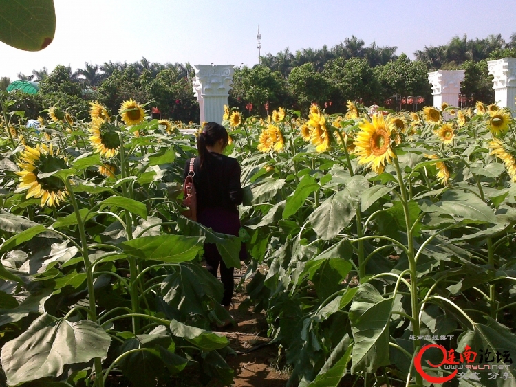20111112476.jpg