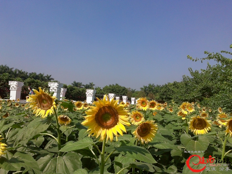 20111112480.jpg