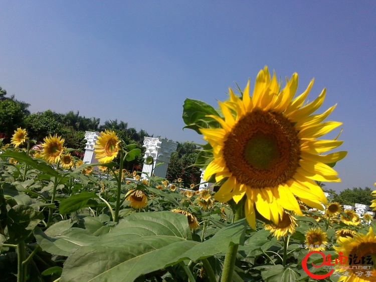 20111112481.jpg