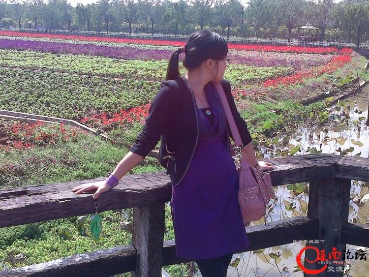 20111112508.jpg