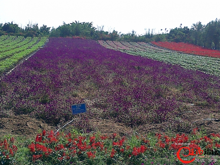20111112509.jpg