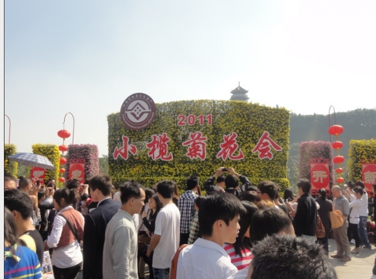 菊花展1.jpg