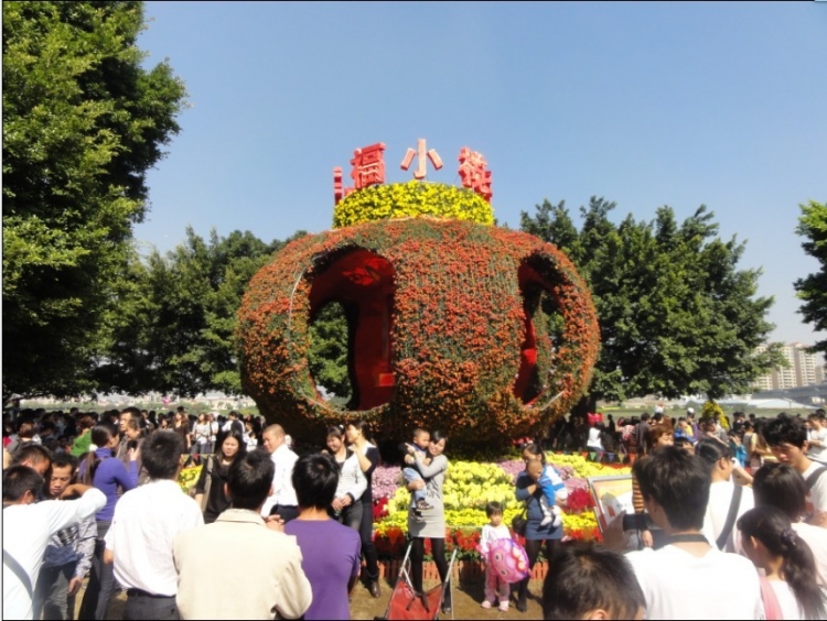 菊花展11.jpg