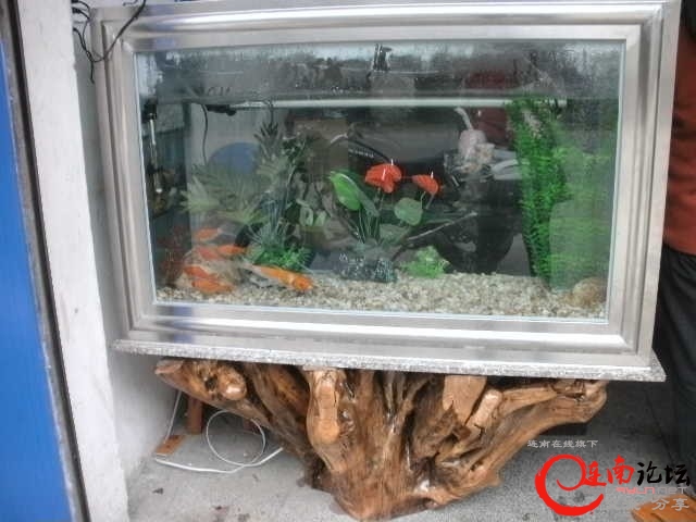 未命名.jpg