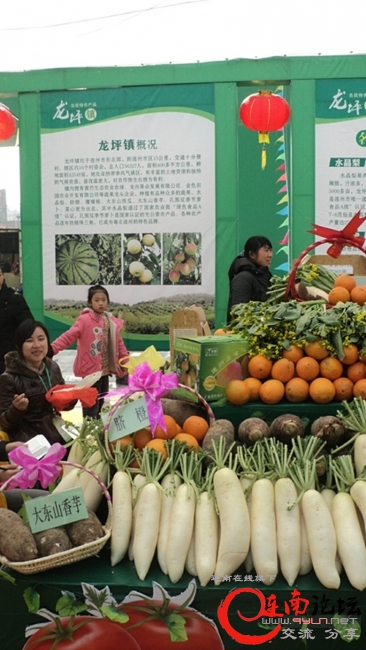 dsc00897_旋转_副本龙坪镇.jpg