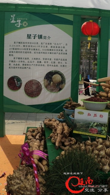 DSC00898_副本星子镇.jpg