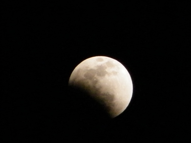 DSCF0331.JPG