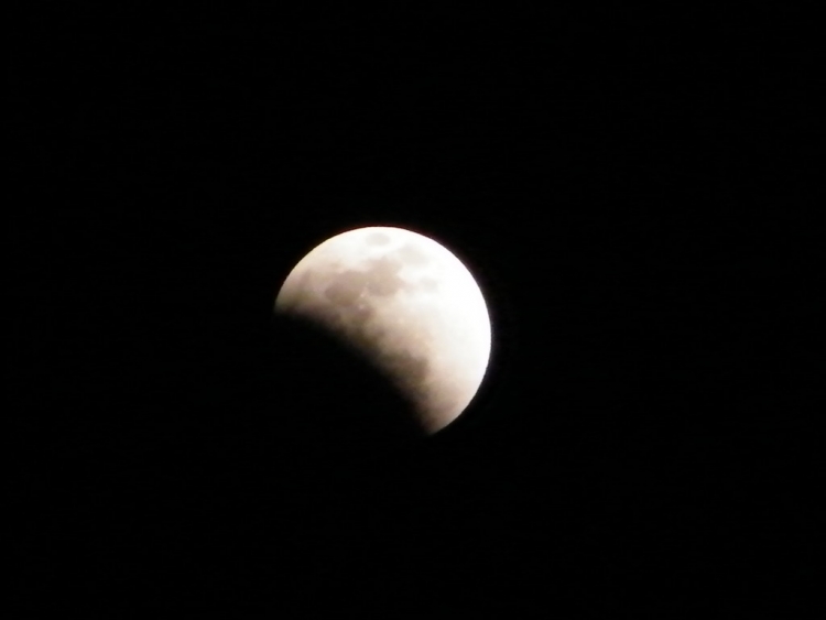 DSCF0342.JPG
