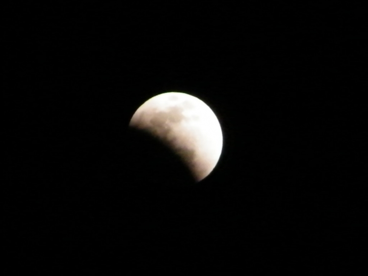 DSCF0348.JPG