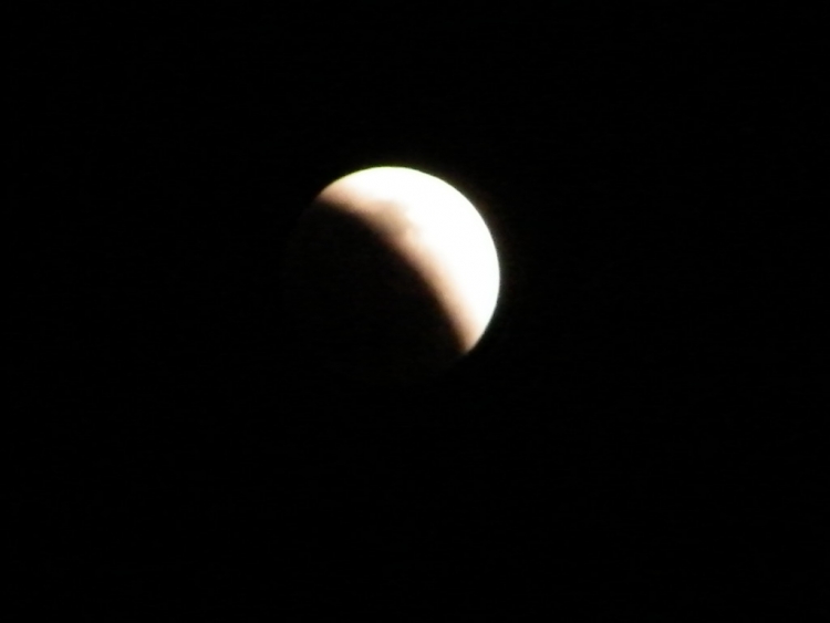 DSCF0353.JPG