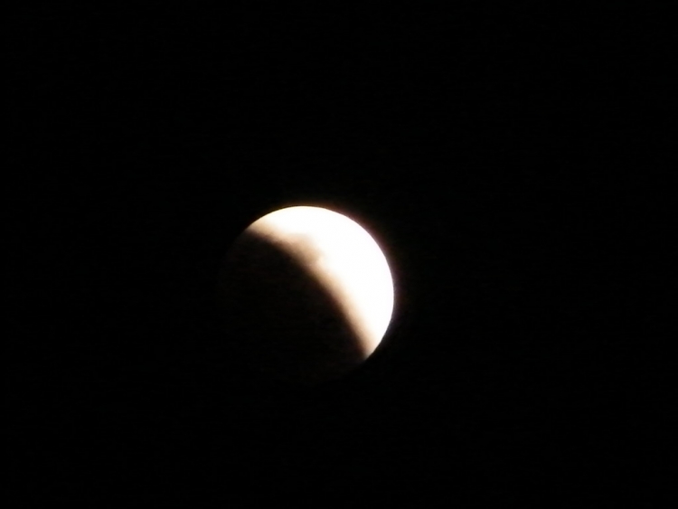 DSCF0354.JPG