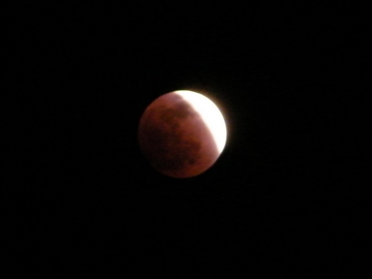 DSCF0356.JPG
