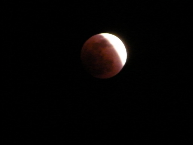 DSCF0358.JPG
