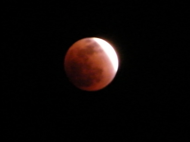 DSCF0363.JPG
