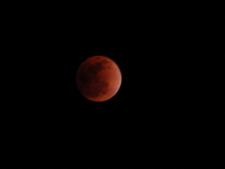 DSCF0370.JPG