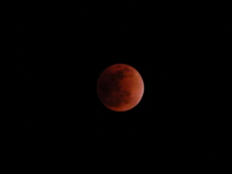 DSCF0376.JPG