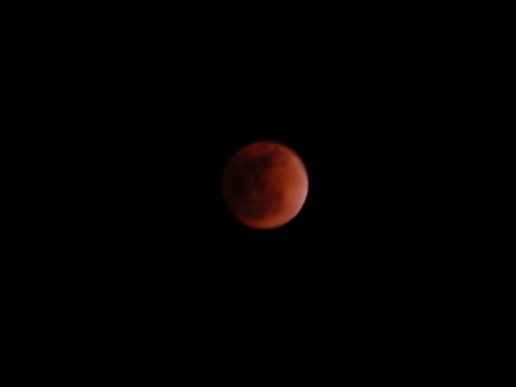 DSCF0379.JPG