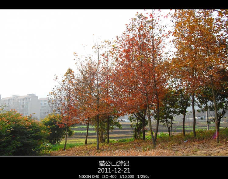 DSC_0625.jpg