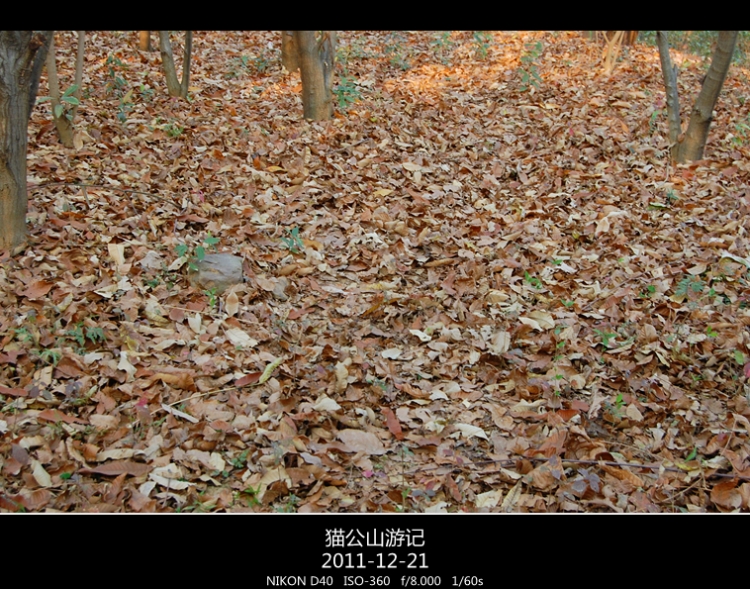 DSC_0656.jpg