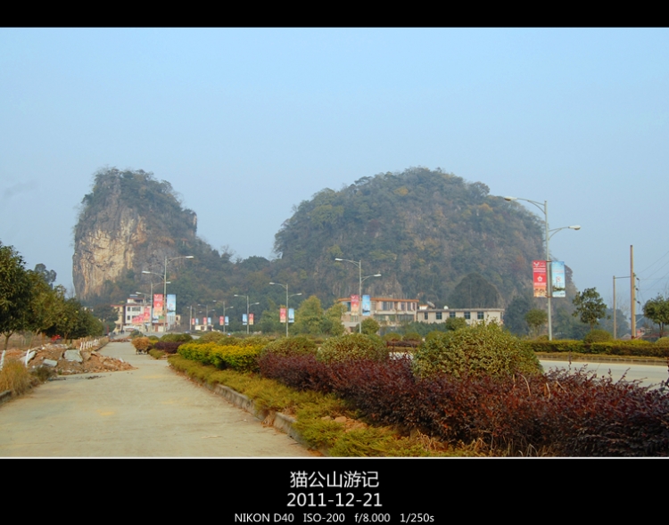 DSC_0677.jpg