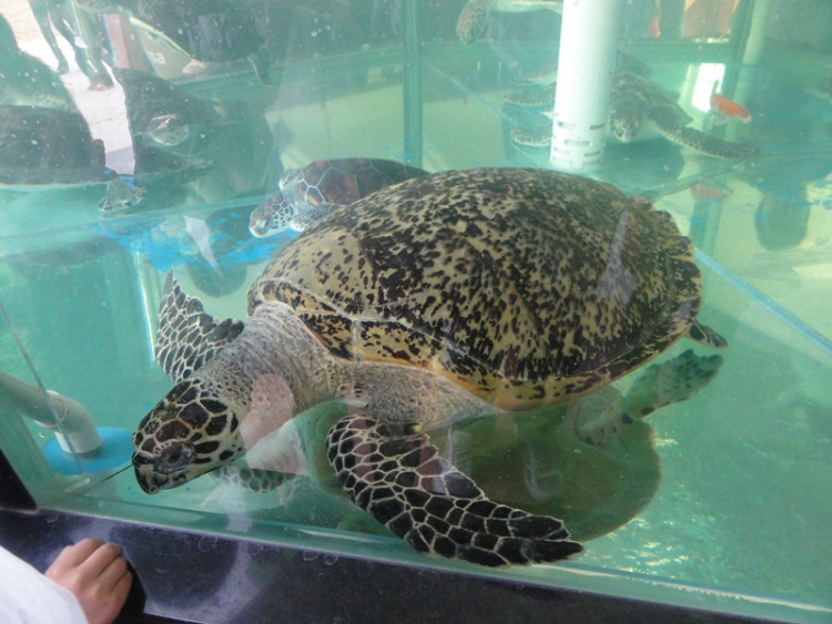DSC05504_副本.jpg