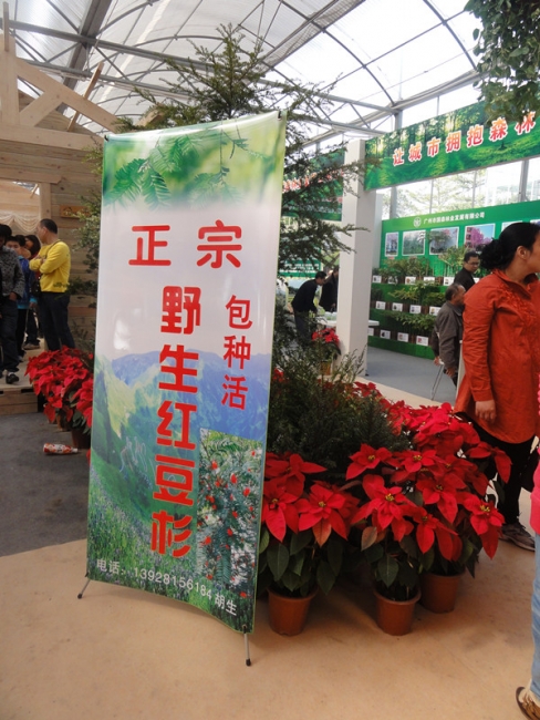 DSC05456_副本.jpg