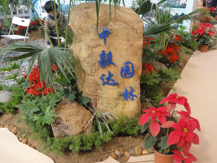 DSC05461_副本.jpg