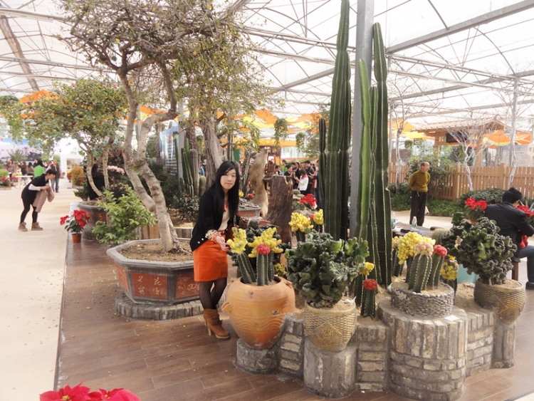 DSC05486_副本.jpg