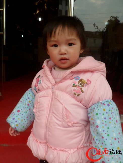 SAM_3145.JPG