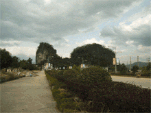 猫公山 (2).gif
