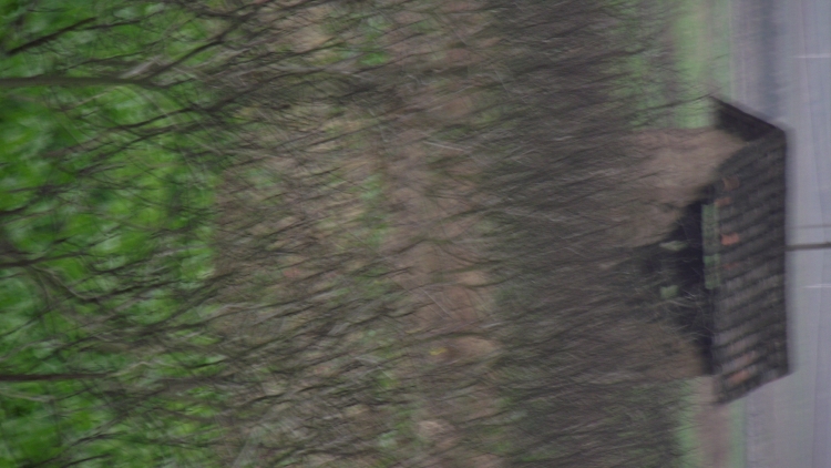 DSCF3282.JPG