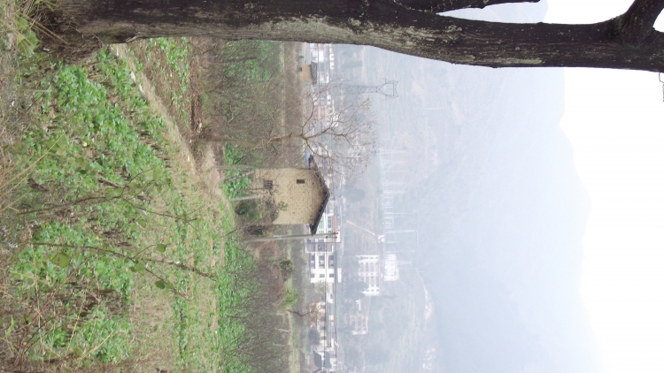 DSCF3290.JPG