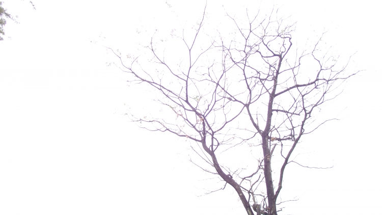 DSCF3293.JPG