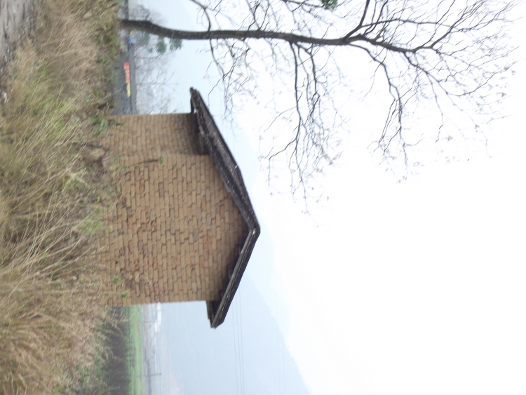 DSCF3249.JPG