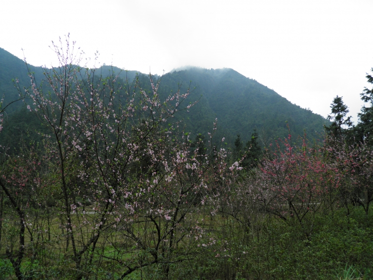 贺州游05.JPG
