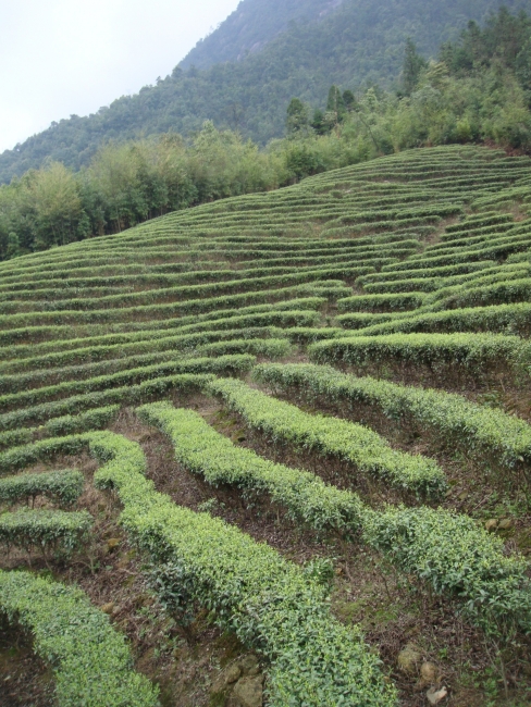 贺州游12.JPG