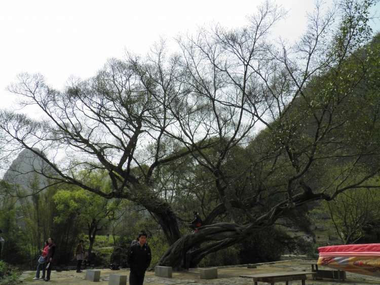 贺州游20.JPG