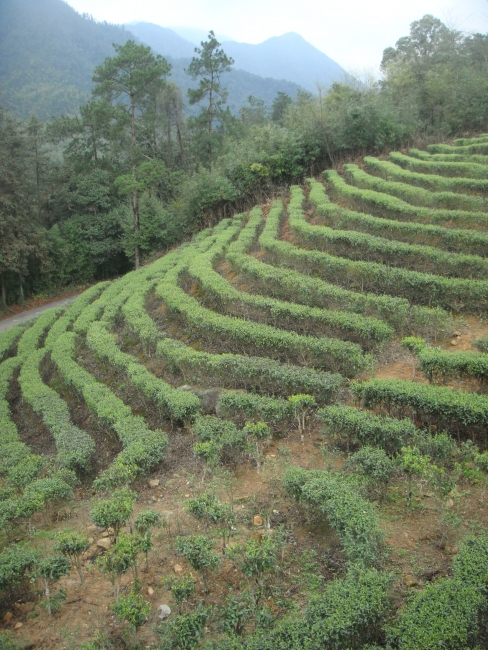 贺州游11.JPG